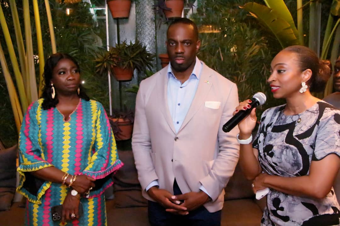 Oluwole Reaffirms Nigeria’s Readiness for Global Partnership