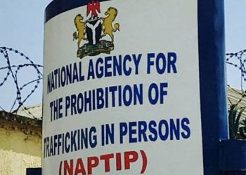 NAPTIP Rescues 25 Saudi-Bound Women From Trafficking Ring