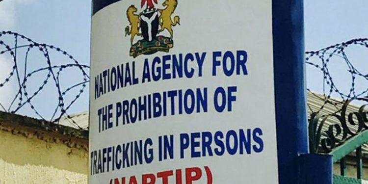 NAPTIP Rescues 25 Saudi-Bound Women From Trafficking Ring