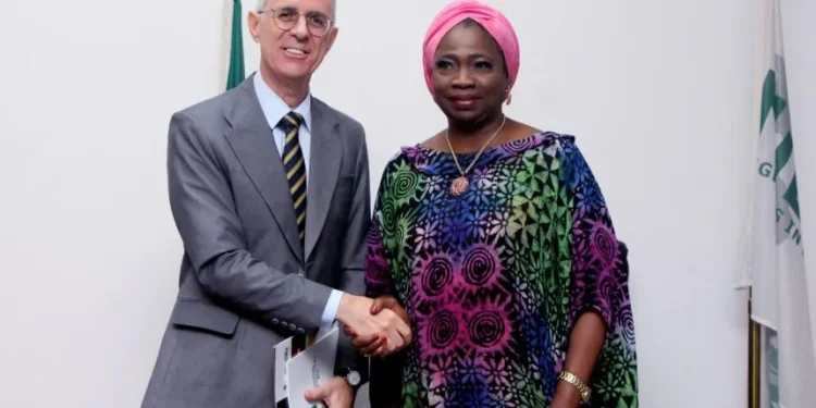 Nigeria Partners Turkey on Diaspora Relations