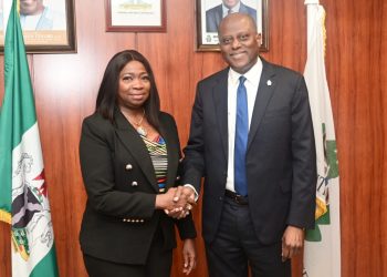 200% Increase In Diaspora Remittance Delights Cardoso, Dabiri-Erewa