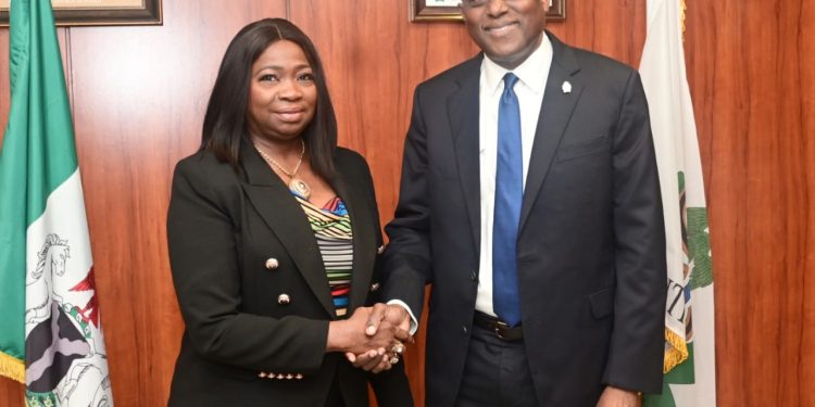 200% Increase In Diaspora Remittance Delights Cardoso, Dabiri-Erewa