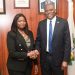 200% Increase In Diaspora Remittance Delights Cardoso, Dabiri-Erewa