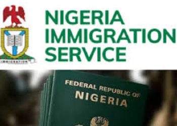 Immigration Service Commences Post Amnesty Documentation Programme for Foreigners on Expired Visa