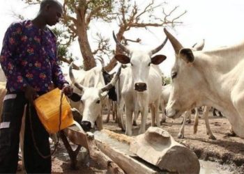 American Lawmakers Call for Sanctions on Miyetti Allah, others