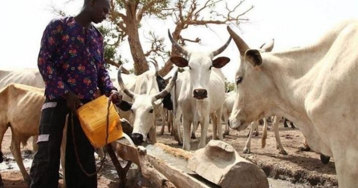 American Lawmakers Call for Sanctions on Miyetti Allah, others