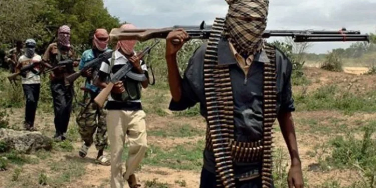Customs Officer Dies After Terrorist Attack On Checkpoint