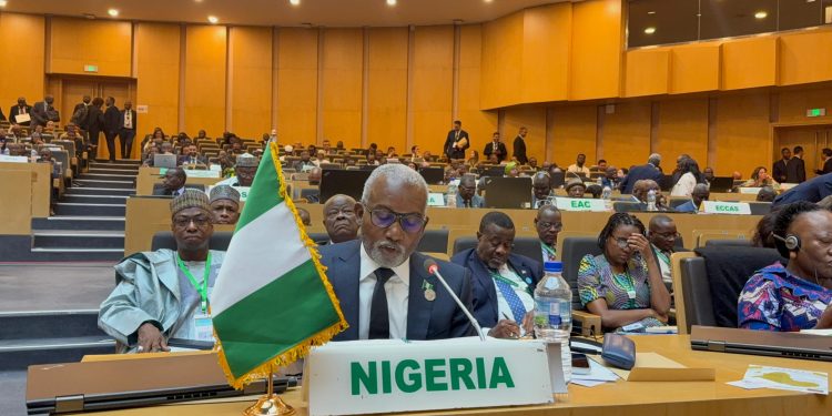 Nigeria Makes A Strong Case For Fiscal Responsibility, Institutional Reforms At AU Executive Council