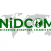 NIIDCOM Celebrates Nigerians’ Attainments In Global Sports, Music Arenas