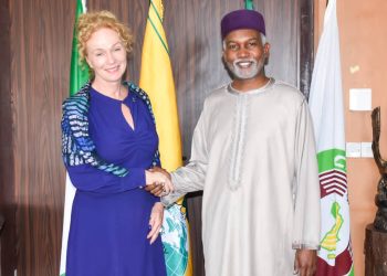 Nigeria, Sweden Commit To Trade, Regional Cooperation